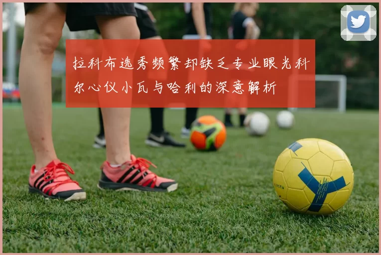 拉科布选秀频繁却缺乏专业眼光科尔心仪小瓦与哈利的深意解析